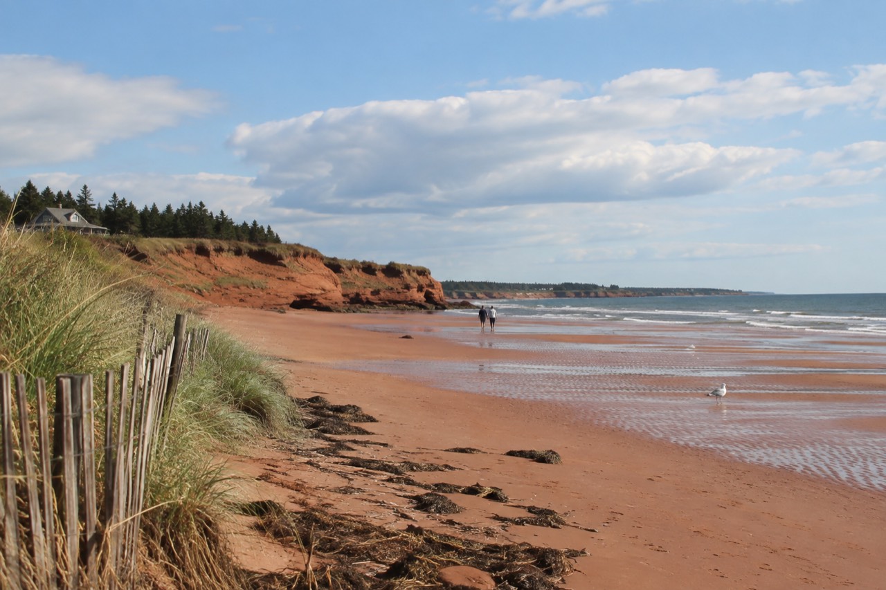 Red sandstone cliffs and red sand at Cavendish Beach under a wide summer sky